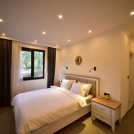 Kastro - Located In Kaya-köy *